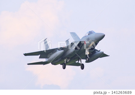 着陸態勢の第303飛行隊のF-15J 着陸態勢の第303飛行隊のF-15J 141263689