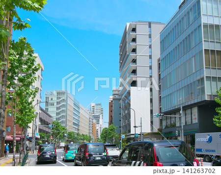 新緑の季節の外苑西通り:広尾・南麻布 都市景観(2026年5月) 新緑の季節の外苑西通り:広尾・南麻布 都市景観(2026年5月) 141263702