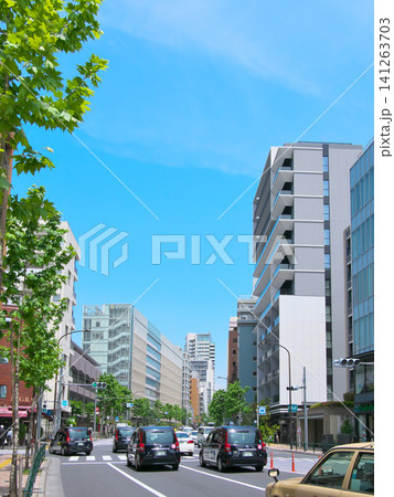 新緑の季節の外苑西通り:広尾・南麻布 都市景観(2026年5月) 新緑の季節の外苑西通り:広尾・南麻布 都市景観(2026年5月) 141263703