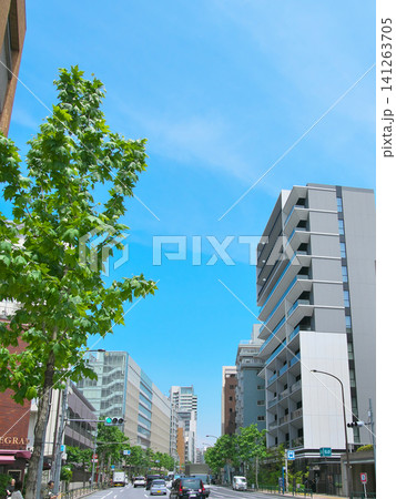 新緑の季節の外苑西通り:広尾・南麻布 都市景観(2026年5月) 新緑の季節の外苑西通り:広尾・南麻布 都市景観(2026年5月) 141263705