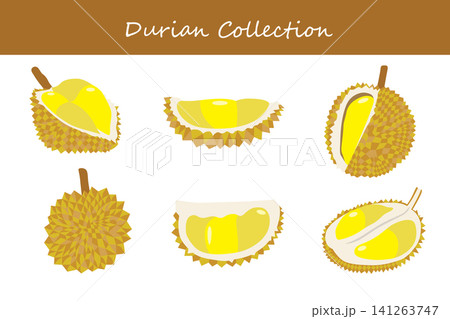 durian collection. durian in different poses durian collection. durian in different poses 141263747