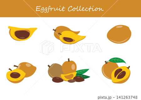 eggfruit collection. eggfruit in different poses eggfruit collection. eggfruit in different poses 141263748
