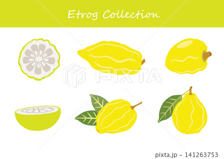 etrog collection. etrog in different poses etrog collection. etrog in different poses 141263753
