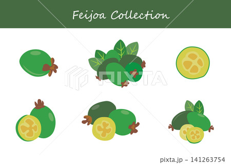 feijoa collection. feijoa in different poses feijoa collection. feijoa in different poses 141263754