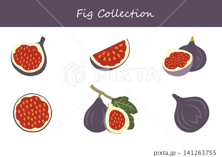 fig collection. fig in different poses fig collection. fig in different poses 141263755