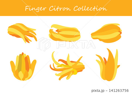 finger citron collection. finger citron in different poses 141263756