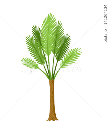 Kind of tree icon, palm. Deciduous plant. Green crowns and lush foliage with natural brown trunks and branches. Vector cartoon illustration 141264134
