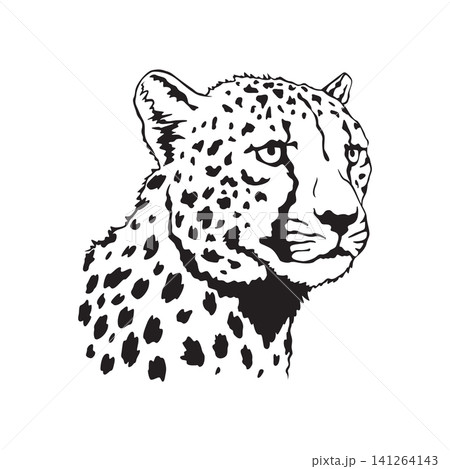 Detailed cheetah head portrait with spotted fur and bold linework 141264143