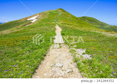 6月の平標山 6月の平標山 141264352