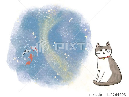 猫と星空 猫と星空 141264698