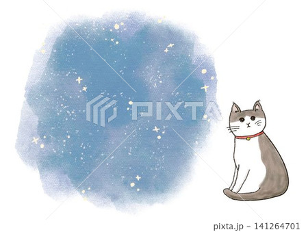 猫と星空 猫と星空 141264701