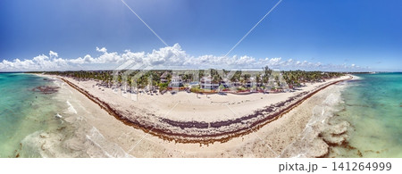 Playa Maroma Beach with Sargassum Seaweed Aerial Panorama Riviera Maya Mexico Playa Maroma Beach with Sargassum Seaweed Aerial Panorama Riviera Maya Mexico 141264999