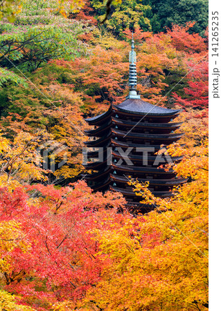 【奈良県】桜井市 談山神社 (2013/11/20撮影) 【奈良県】桜井市 談山神社 (2013/11/20撮影) 141265235