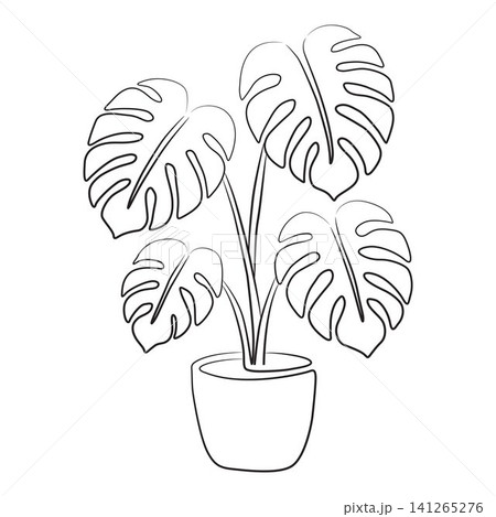 Monstera plant house plant outline for coloring pages Monstera plant house plant outline for coloring pages 141265276