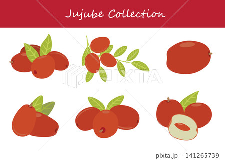 jujube collection. jujube in different poses jujube collection. jujube in different poses 141265739
