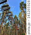 Sports forest town 141265928