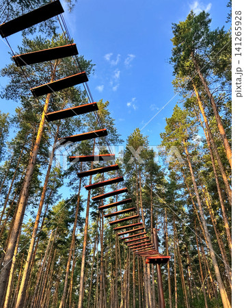 Sports forest town 141265928
