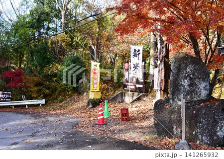 茨城県大子町　月待の滝もみじ苑案内板と紅葉 141265932