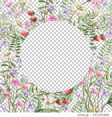 Square frame with a circle and delicate, subtle wildflowers. Isolated watercolor illustration is perfect for invitations, cards, wedding designs, nature blogs, and crafts. 141265960