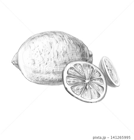 A whole lemon, a slice, and a piece. Detailed isolated pencil drawing for design purposes for restaurants, cafes, culinary blogs, food brands, farms, grocery stores, and bars. A whole lemon, a slice, and a piece. Detailed isolated pencil drawing for design purposes for restaurants, cafes, culinary blogs, food brands, farms, grocery stores, and bars. 141265995