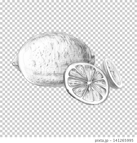 A whole lemon, a slice, and a piece. Detailed isolated pencil drawing for design purposes for restaurants, cafes, culinary blogs, food brands, farms, grocery stores, and bars. A whole lemon, a slice, and a piece. Detailed isolated pencil drawing for design purposes for restaurants, cafes, culinary blogs, food brands, farms, grocery stores, and bars. 141265995