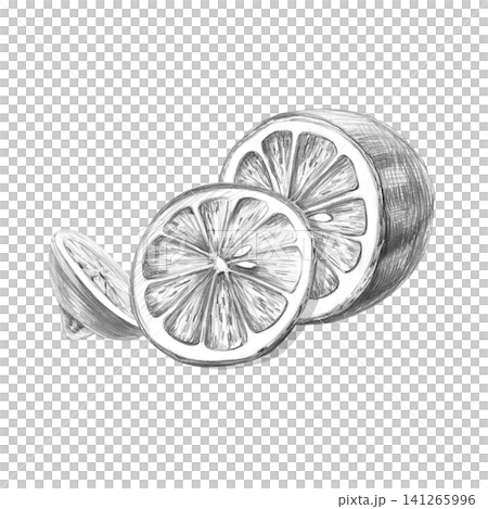 Half a lemon, a slice, and a piece. Detailed isolated pencil drawing for design purposes for restaurants, cafes, culinary blogs, food brands, farms, grocery stores, and bars. 141265996