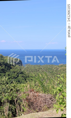Panoramic ocean view over dense tropical hillside with palm canopy, rolling green vegetation, distant shoreline, and clear blue sky above calm coastal landscape Panoramic ocean view over dense tropical hillside with palm canopy, rolling green vegetation, distant shoreline, and clear blue sky above calm coastal landscape 141266105