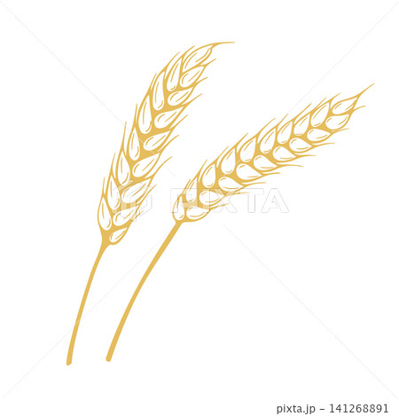 Ripe ears of wheat, rye, barley or oats 141268891
