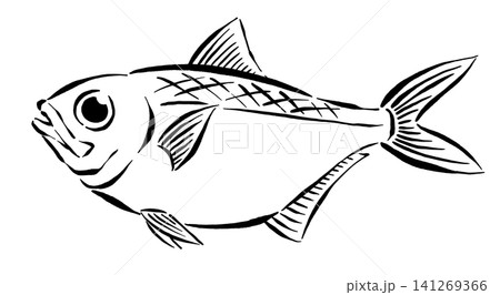 金目鯛の筆線画イラスト 金目鯛の筆線画イラスト 141269366