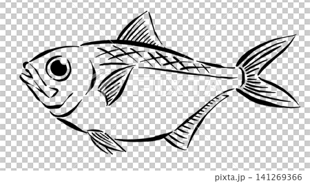金目鯛の筆線画イラスト 金目鯛の筆線画イラスト 141269366