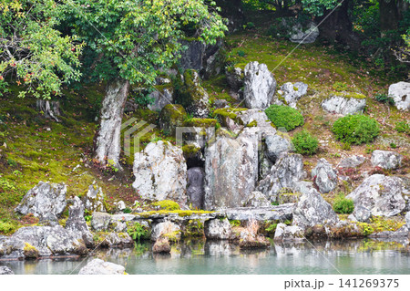 京都　天龍寺　曹源池庭園　龍門瀑　( 京都府京都市右京区) 141269375