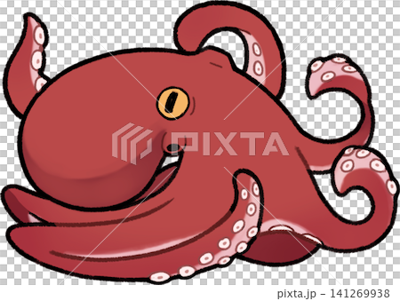 章魚 章魚 141269938