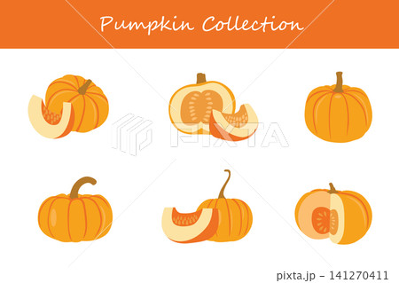 pumpkin collection. pumpkin in different poses 141270411