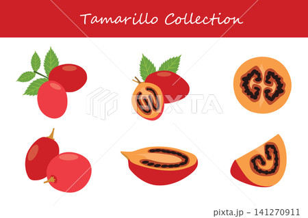 tamarillo collection. tamarillo in different poses 141270911