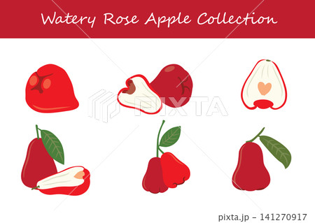 watery rose apple collection. watery rose apple in different poses watery rose apple collection. watery rose apple in different poses 141270917