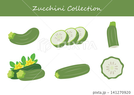 zucchini collection. zucchini in different poses zucchini collection. zucchini in different poses 141270920