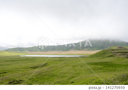 阿蘇・草千里ヶ浜の新緑の風景・熊本県 阿蘇・草千里ヶ浜の新緑の風景・熊本県 141270930