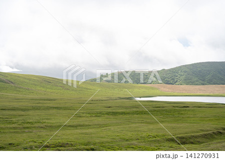 阿蘇・草千里ヶ浜の新緑の風景・熊本県 阿蘇・草千里ヶ浜の新緑の風景・熊本県 141270931