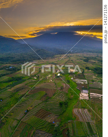 Beautiful panoramic aerial view of terraced rice fields at sunrise in Indonesia, surrounded by lush tropical greenery and palm trees 141271156