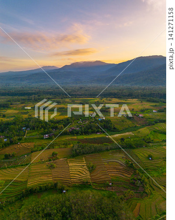 Beautiful panoramic aerial view of terraced rice fields at sunrise in Indonesia, surrounded by lush tropical greenery and palm trees Beautiful panoramic aerial view of terraced rice fields at sunrise in Indonesia, surrounded by lush tropical greenery and palm trees 141271158