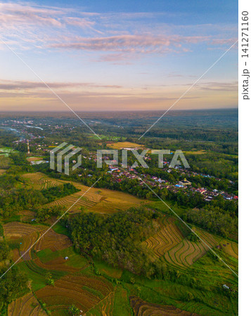 Beautiful panoramic aerial view of terraced rice fields at sunrise in Indonesia, surrounded by lush tropical greenery and palm trees Beautiful panoramic aerial view of terraced rice fields at sunrise in Indonesia, surrounded by lush tropical greenery and palm trees 141271160