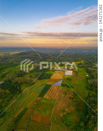 Beautiful panoramic aerial view of terraced rice fields at sunrise in Indonesia, surrounded by lush tropical greenery and palm trees Beautiful panoramic aerial view of terraced rice fields at sunrise in Indonesia, surrounded by lush tropical greenery and palm trees 141271162