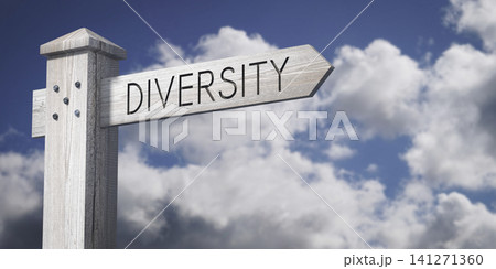 Diversity - wooden signpost with one arrow 141271360