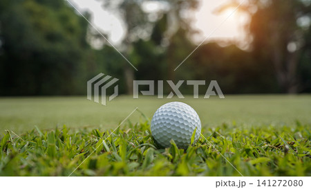 Golf ball on green grass in the evening golf course with sunshine background. Golf ball on green grass in the evening golf course with sunshine background. 141272080