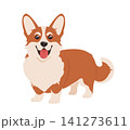 Cute corgi dog character, joyful puppy standing, showcasing a big smile and bright, attentive eyes. Playful and friendly pet of the popular Corgi canine animal breed. Vector illustration 141273611