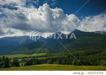 Sunlit green mountain valley with meadow, forested slopes in Zakopane Tatras mountains 141273754