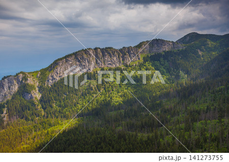 Sunlit green mountain valley with meadow, forested slopes in Zakopane Tatras mountains Sunlit green mountain valley with meadow, forested slopes in Zakopane Tatras mountains 141273755