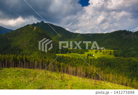 Sunlit green mountain valley with meadow, forested slopes in Zakopane Tatras mountains Sunlit green mountain valley with meadow, forested slopes in Zakopane Tatras mountains 141273898