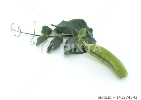 Fresh green pea pod with leaves and tendrils on a white background 141274542