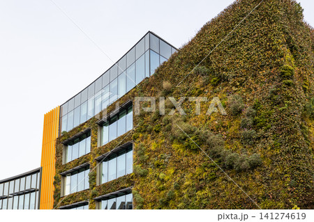 Eco friendly commercial building exterior with plant covered wall 141274619